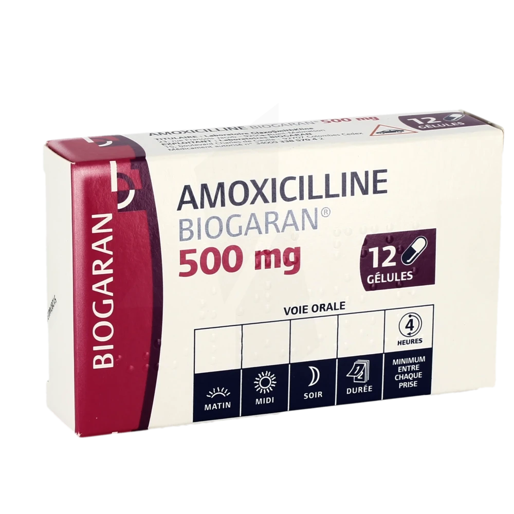 Prix amoxicilline 500 mg mylan