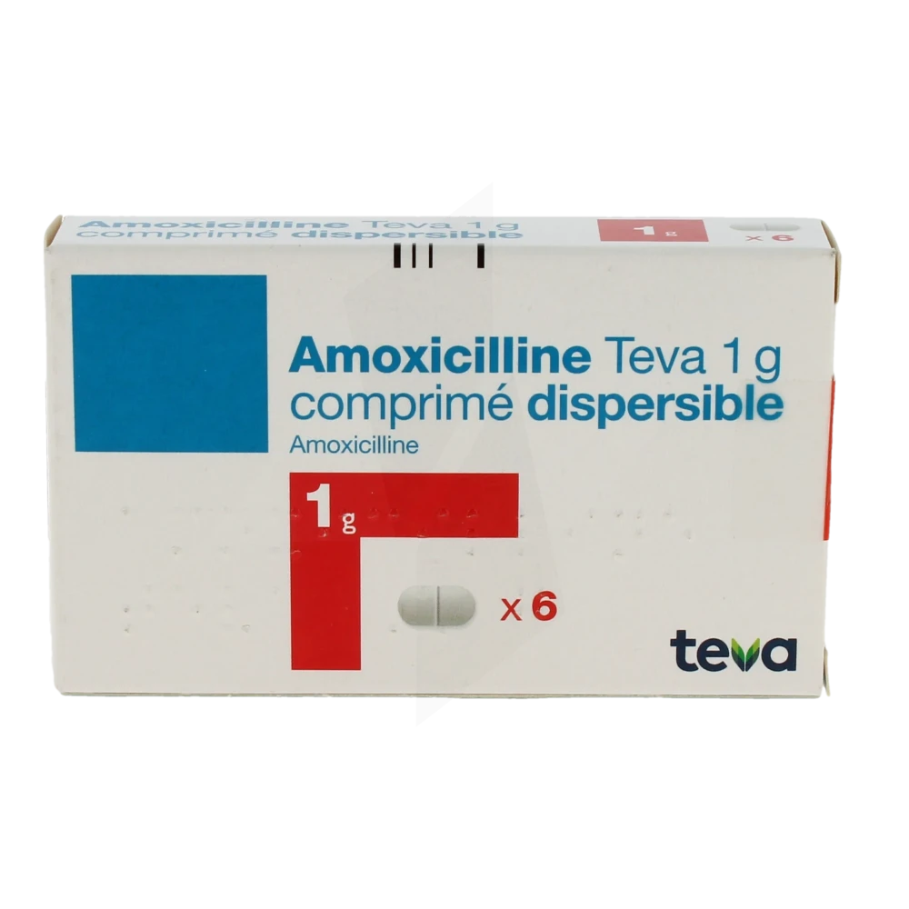 Amoxil achat