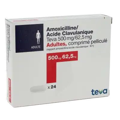 Amoxicilline Zydus France 500mg