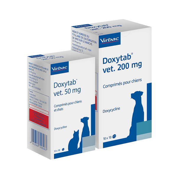 Doxycycline Son Prix