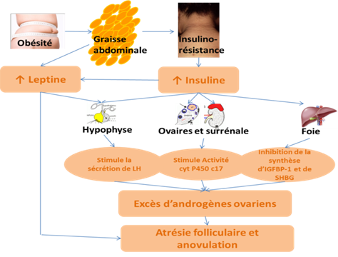 Metformin Pas Cher