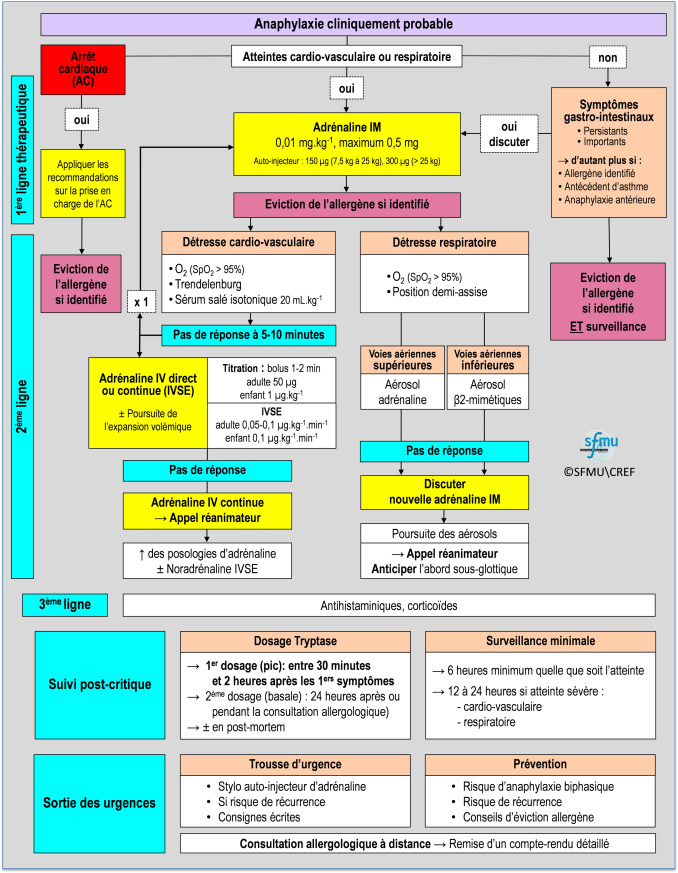 prednisolone en ligne