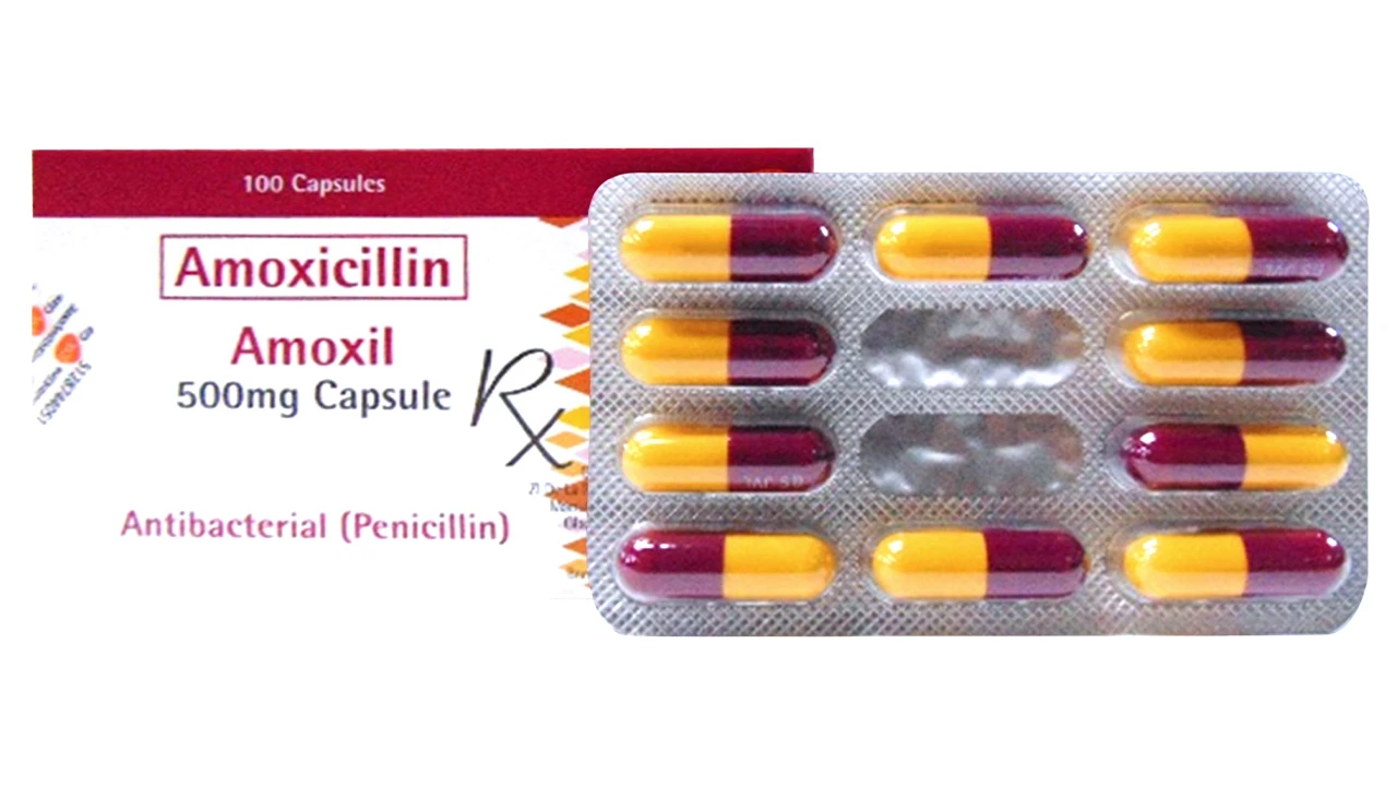 Amoxil Pilules