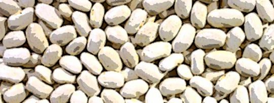 Zopiclone prix quebec