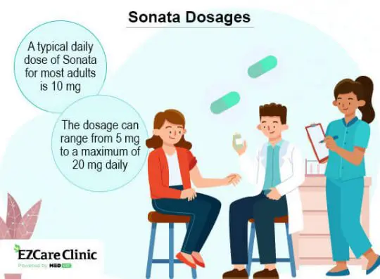 sonata 10mg