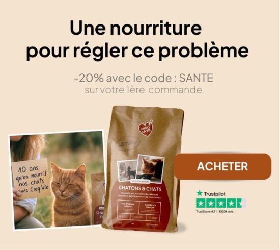 amoxicilline pour chat sans ordonnance