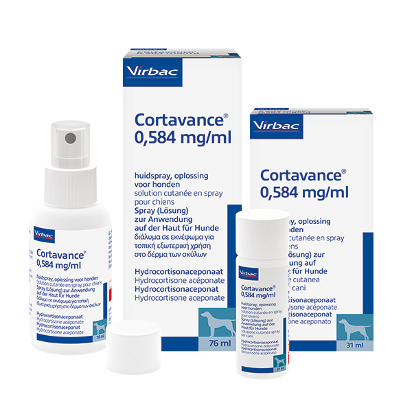 Coût prednisolone