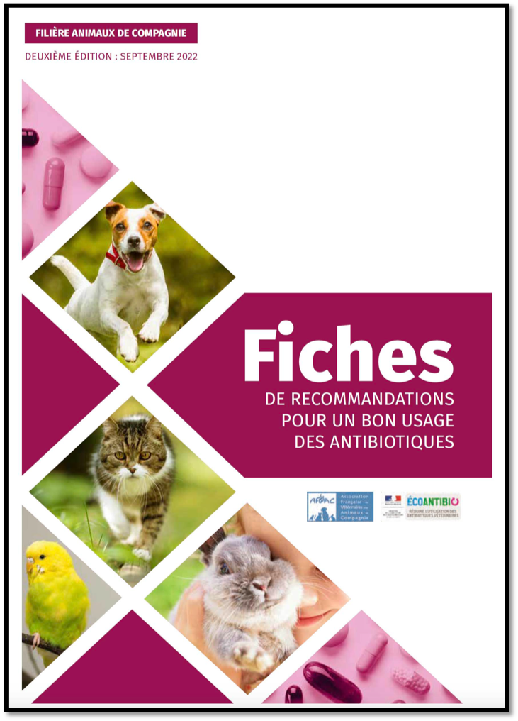 doxycycline chat prix