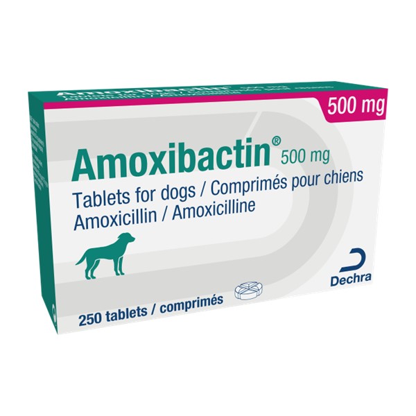 Amoxicilline 500mg prix