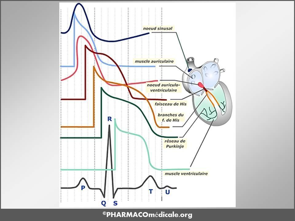 propranolol 10 mg rcp