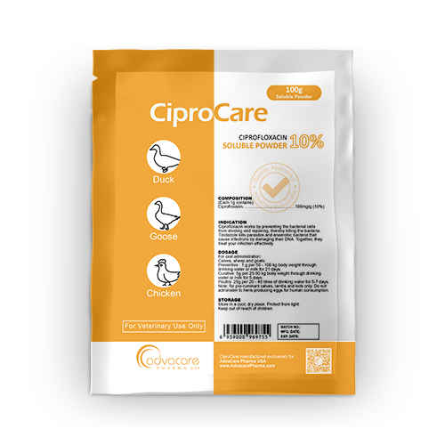Ciprofloxacin 500mg tinidazole 600 mg