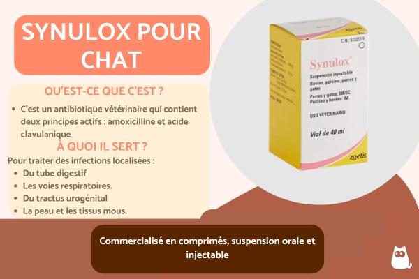 Amoxicilline chat prix