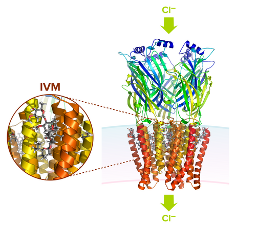 ivermectine commander en ligne