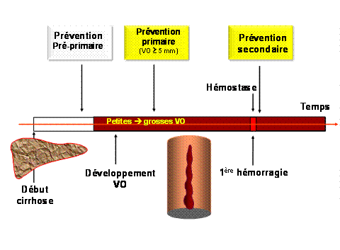 inderal 80mg