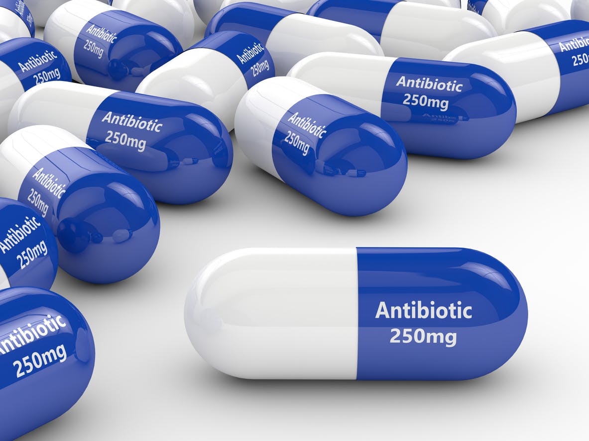 Amoxicilline Effet Sur La Pilule