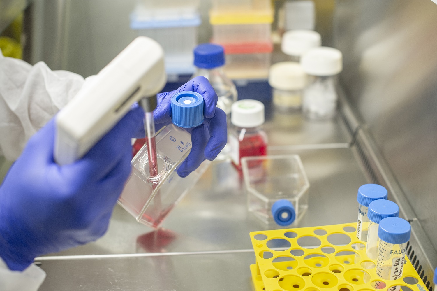Acheter Tamoxifène En Ligne