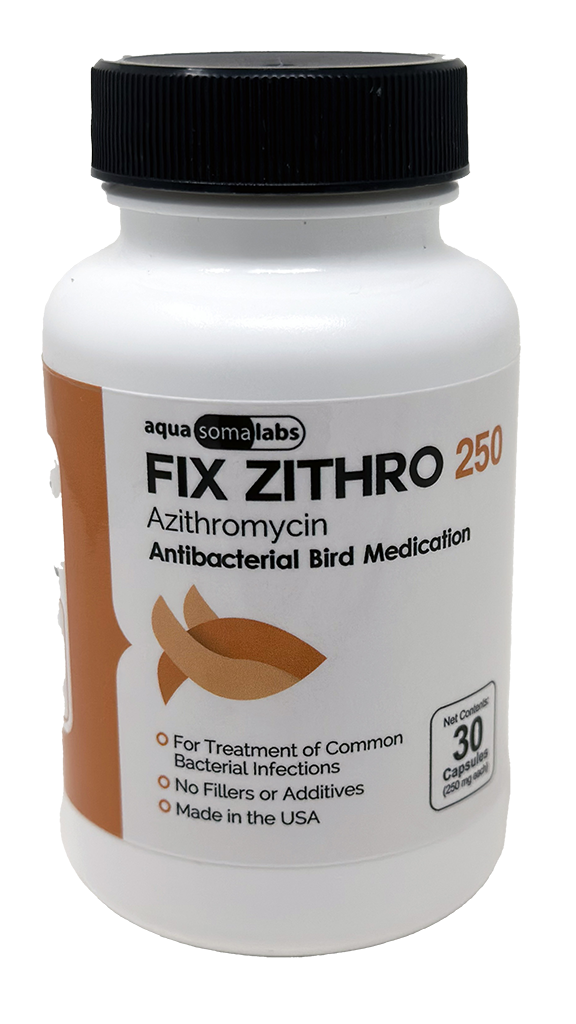 Azithromycin Jubilant 250 Mg
