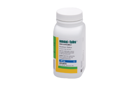 Achat De Amoxicillin