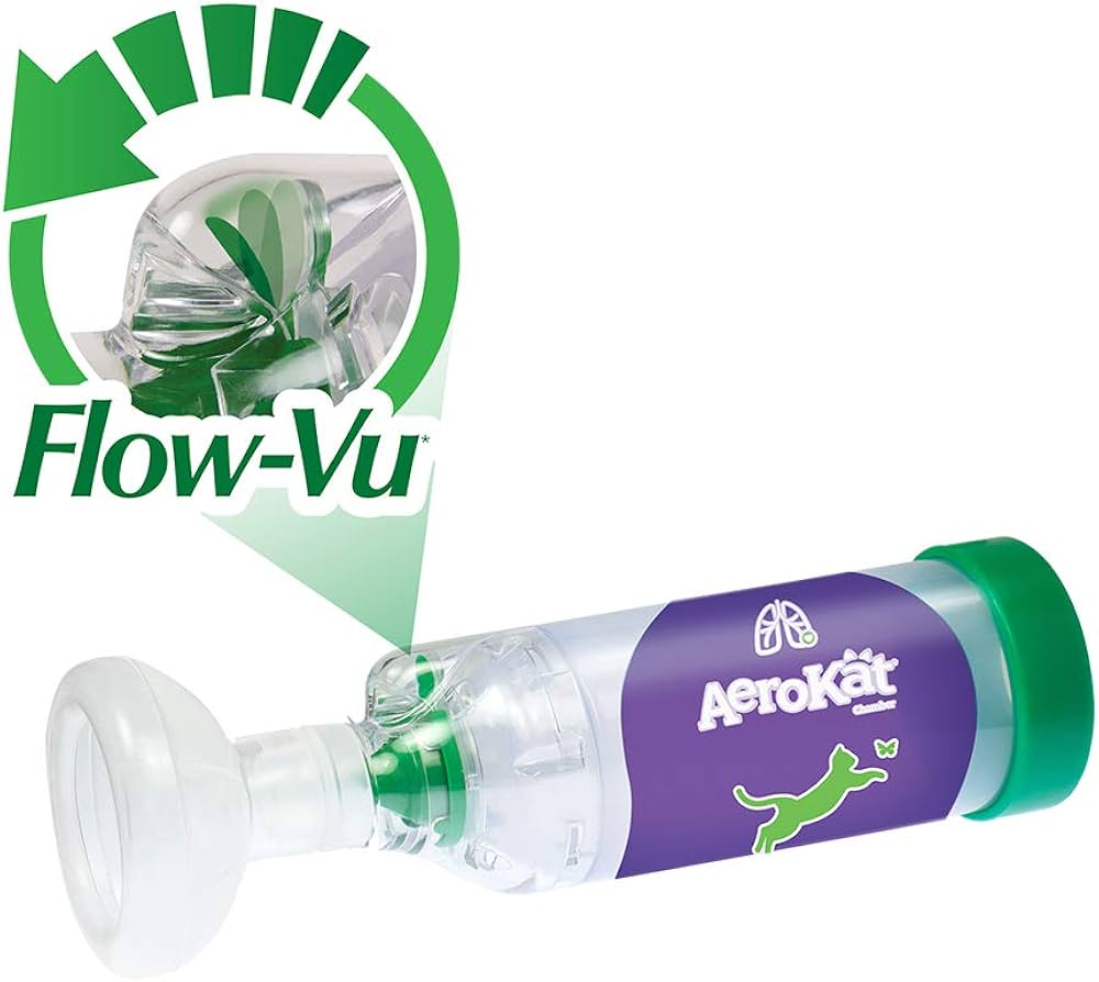 Prix Pompe Ventolin