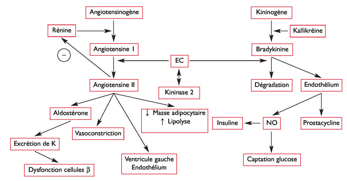 Propranolol 10 Mg Na Co