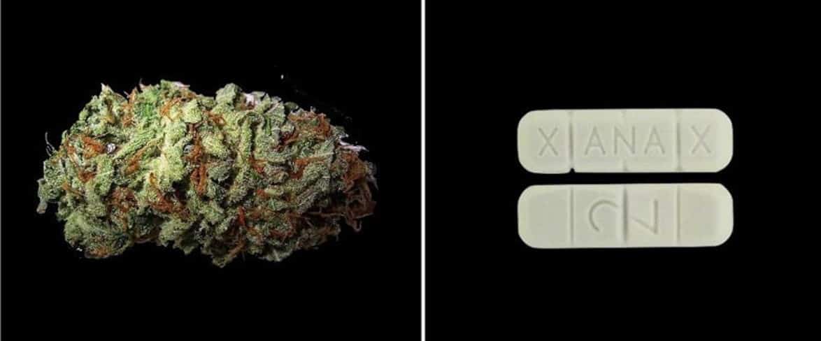 consommation de xanax en france