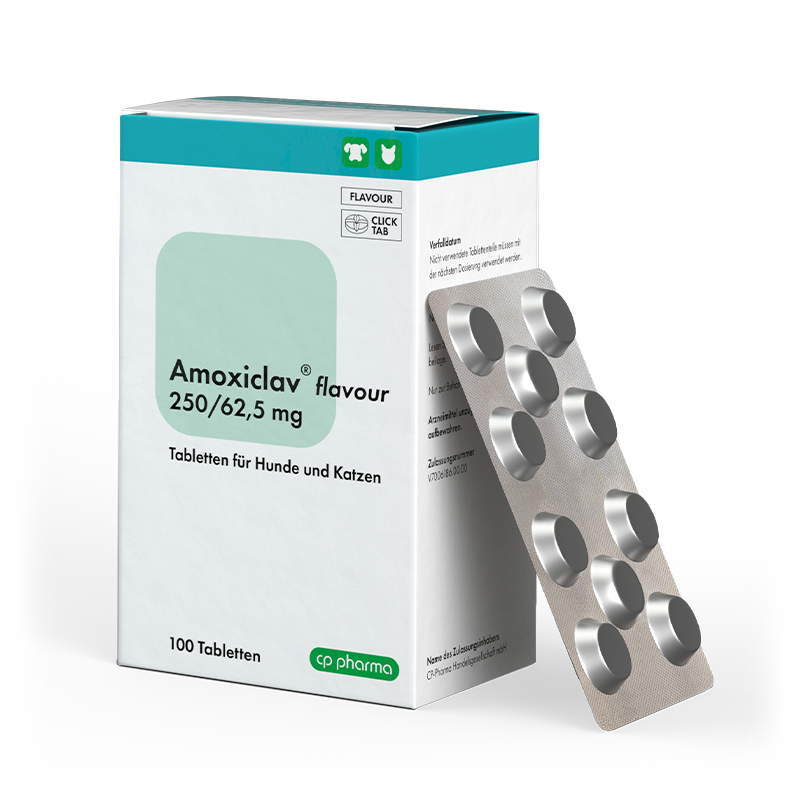 Azithromycin 250 mg & dexamethasone 6 mg