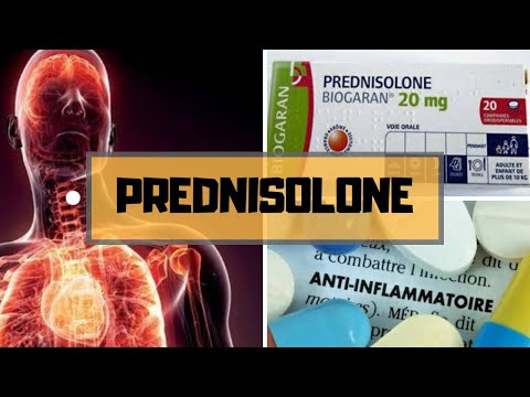Prednisolone 20 prix