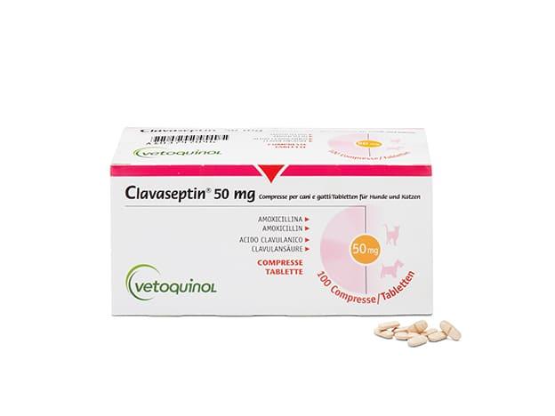 Commander Amoxicillin