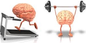 Acheter Du Modafinil En France