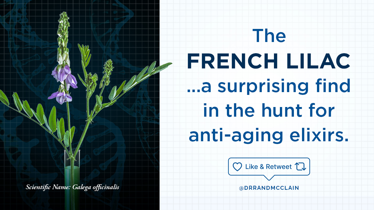 Metformin in france