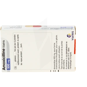 amoxicilline mylan pharma prix