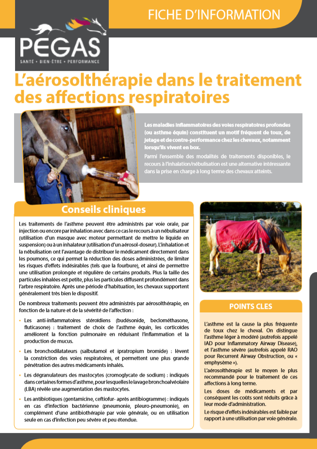 Coût Du Ventolin