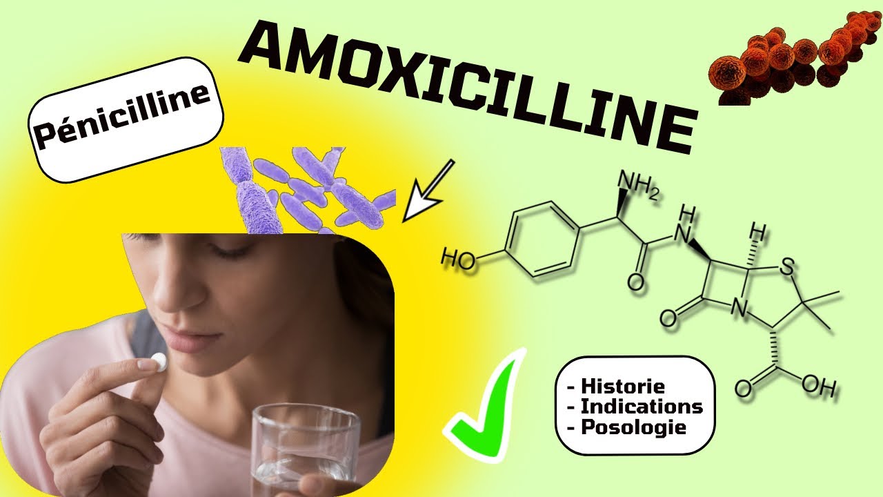 Amoxicilline Zydus France 500 Mg