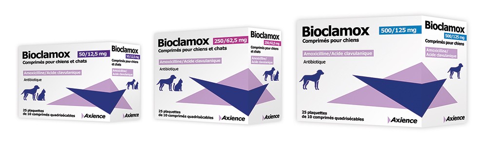 Acheter amoxicilline pour chat
