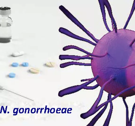 azithromycin online au