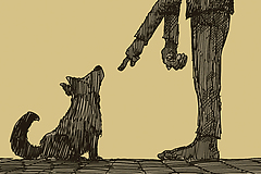 valium chien prix