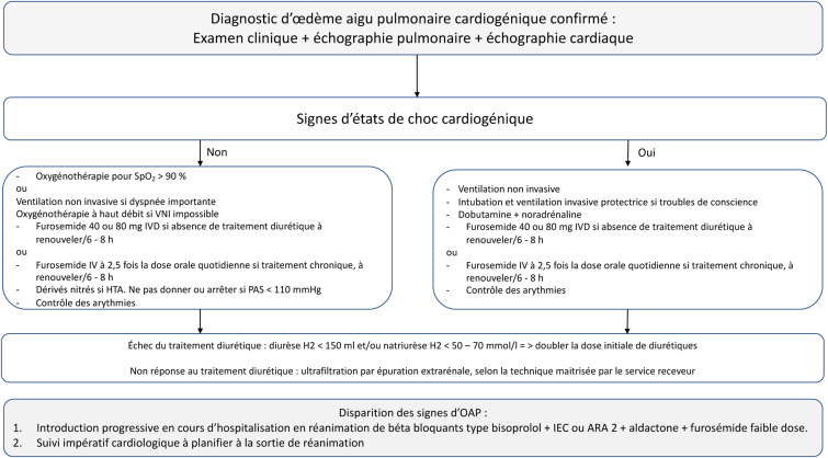 Coût Du Furosemide
