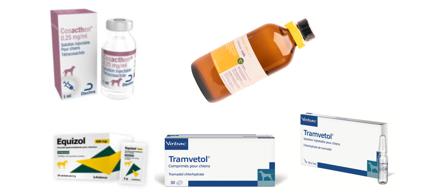 tramadol chien prix