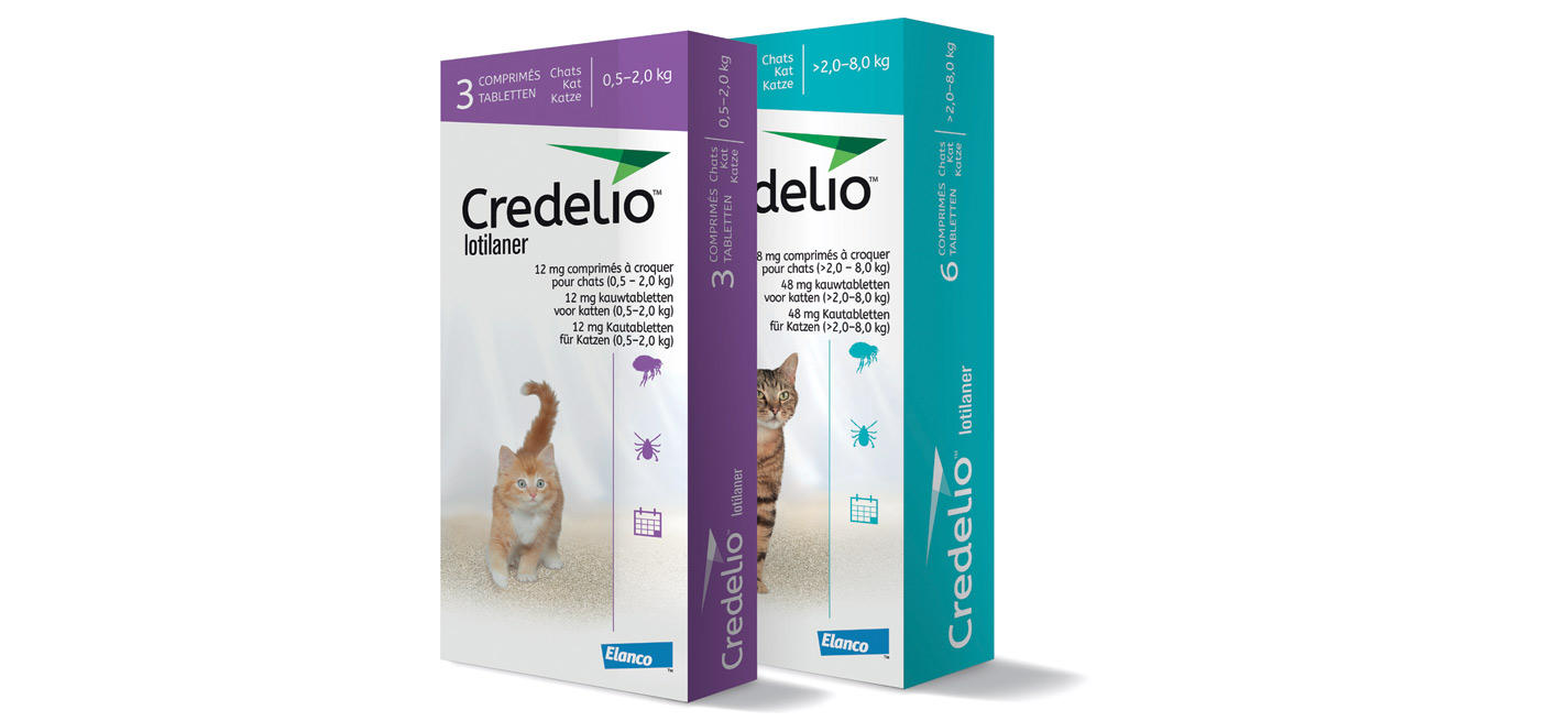 Tramadol chien prix