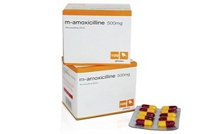 Amoxicilline Zydus France 1g