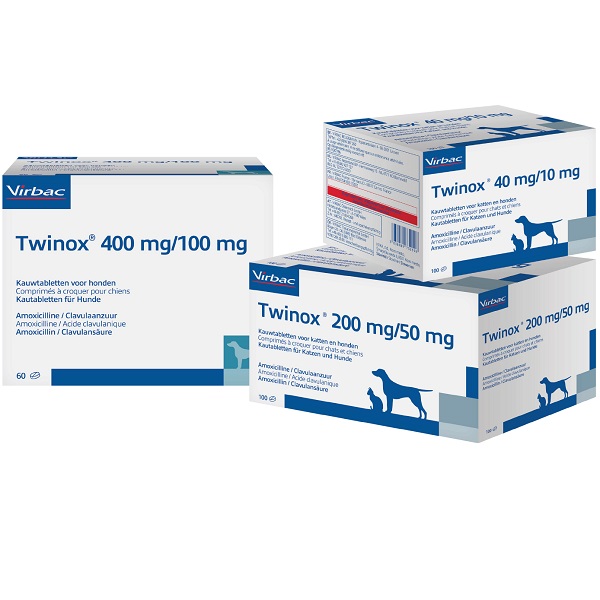 amoxicillin achat france