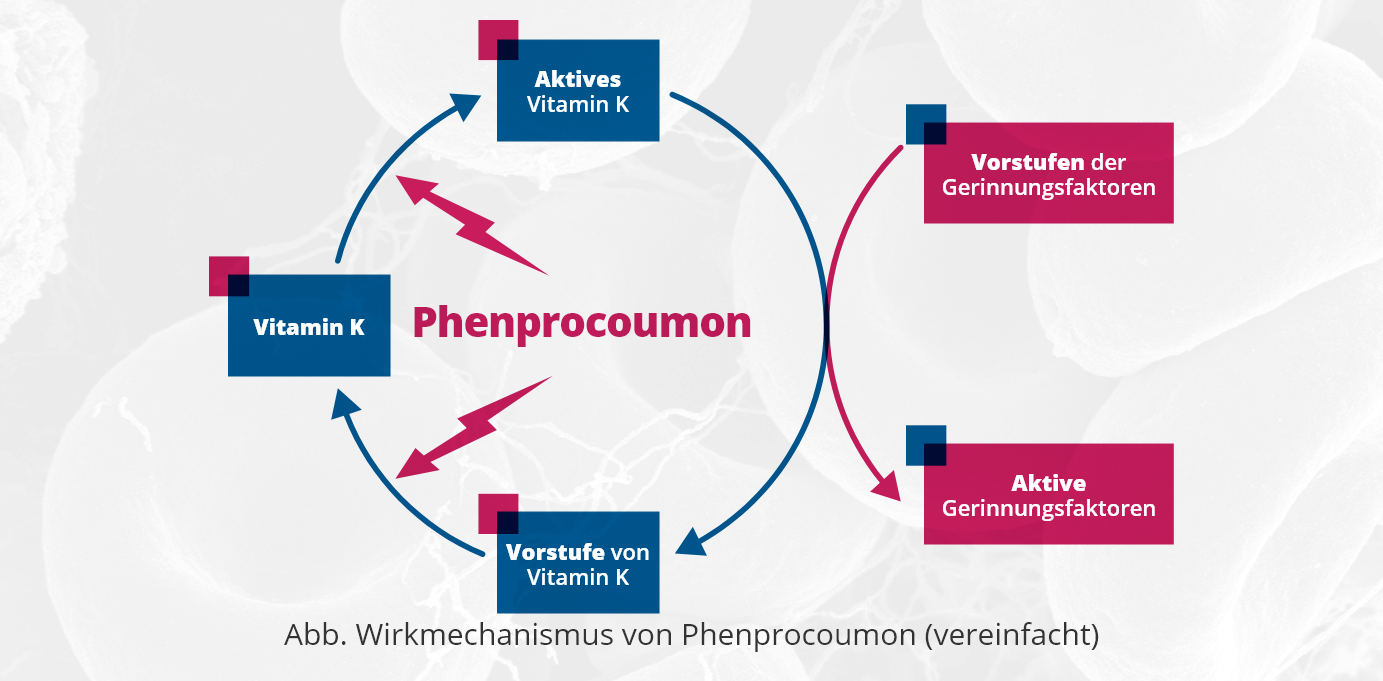 Phentermine bon marché