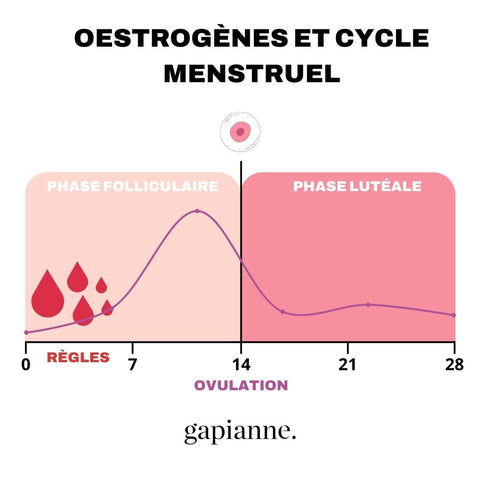 coût oestrogènes conjugués