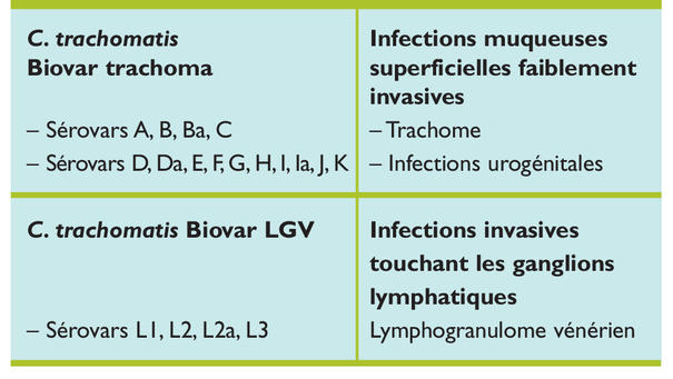 azithromycin online