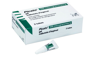 traitement aldara prix