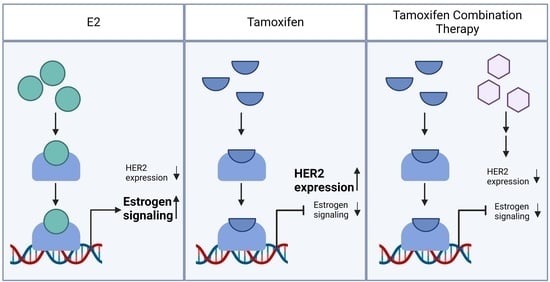 Commander Tamoxifen