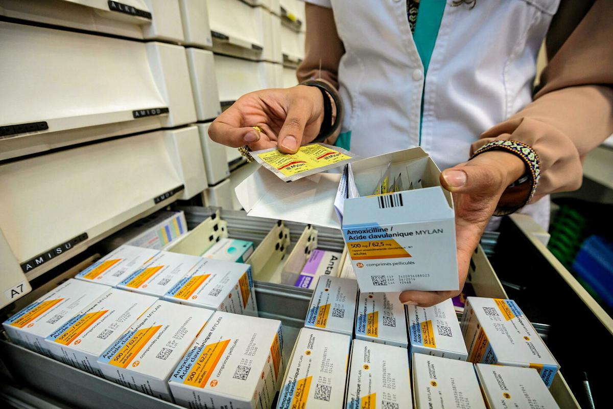 Amoxicilline 500 Achat