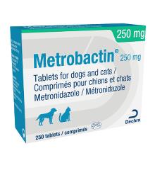 Amoxicillin 250mg online