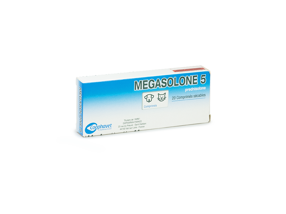 Prednisolone nom generique