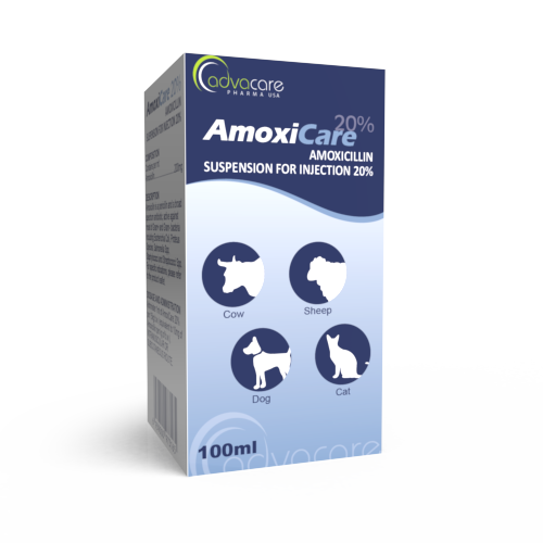 coût amoxicilline